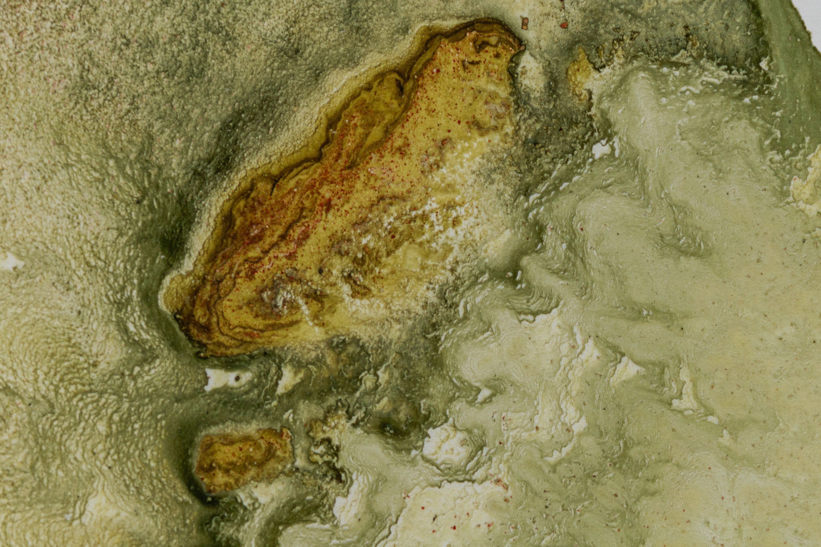 Mariëtte Kotzé, Mossy melodies, 2024