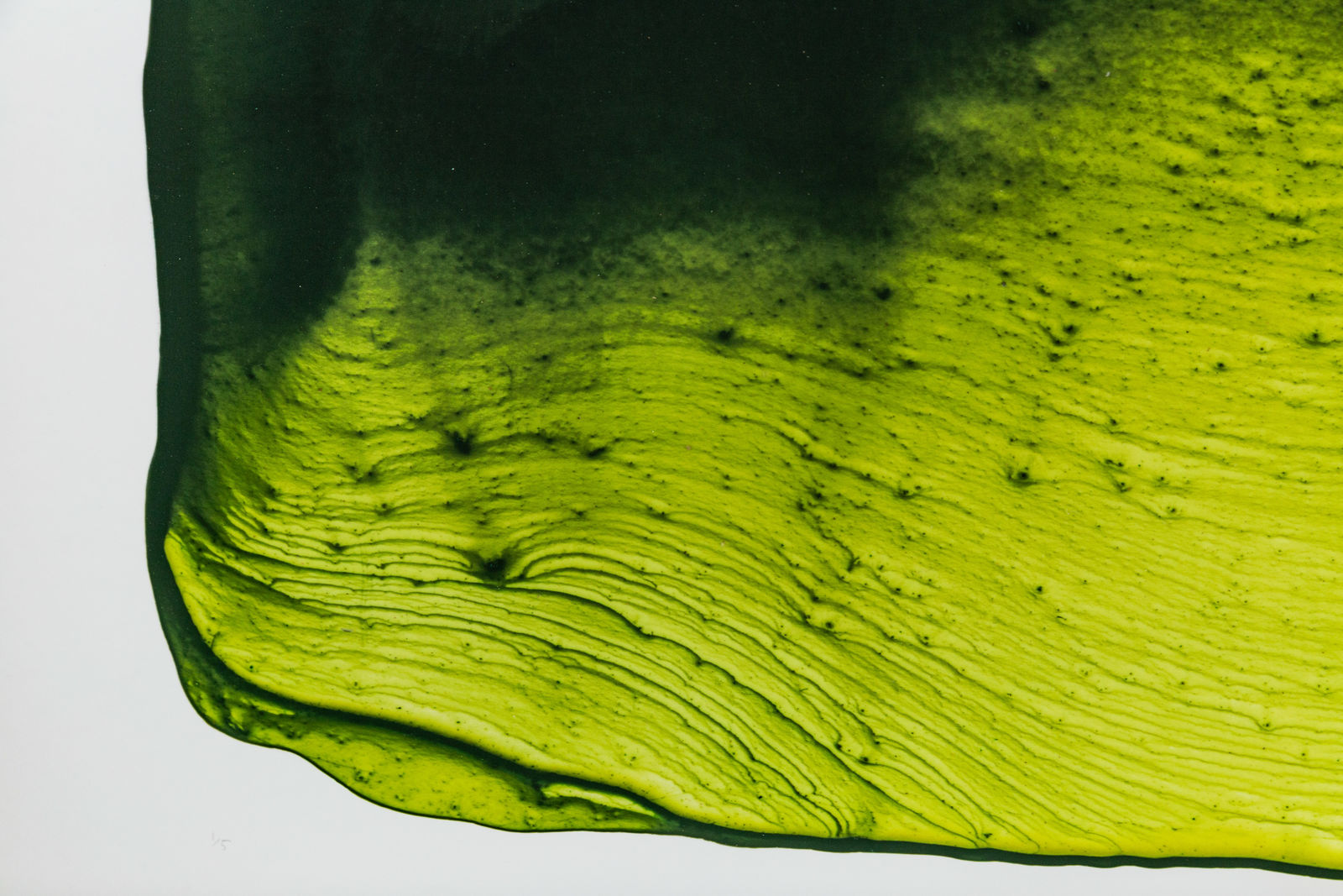 Mariëtte Kotzé, Luminous Landscape, 2024