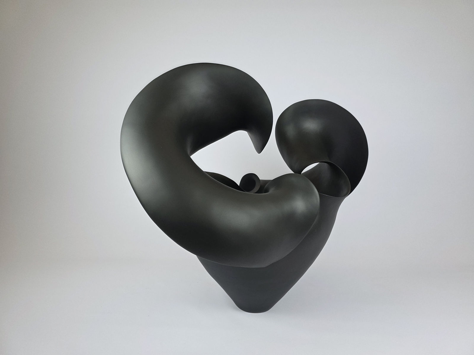 Astrid Dahl, Biomorphic Tendrils 2 (black), 2025