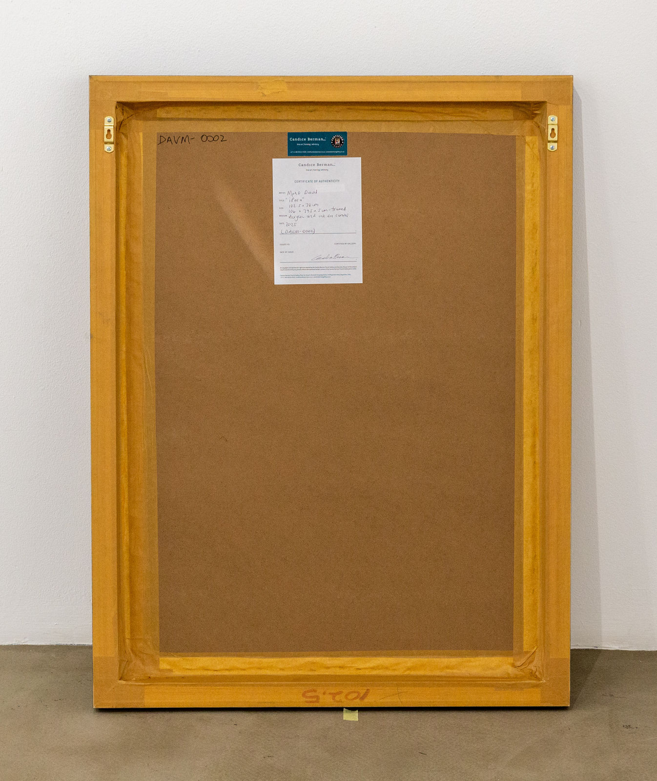 Mpho David, iPara, 2025