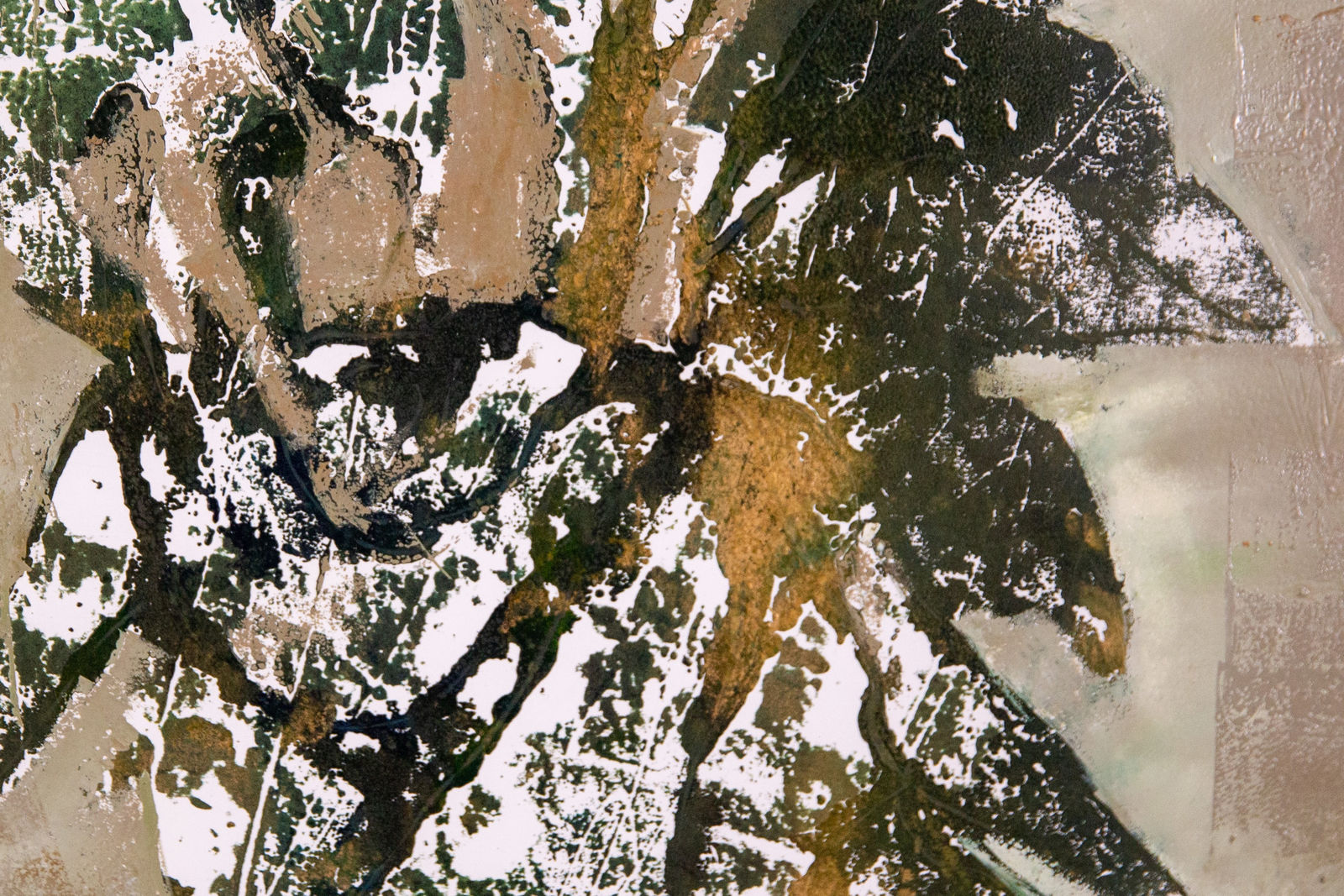 Louise Almon, Floral Monotype II, 2023