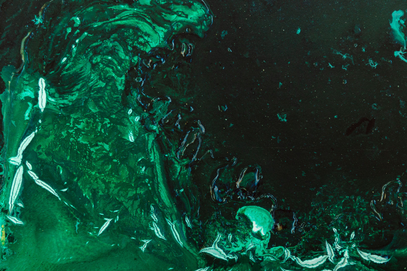 Mariëtte Kotzé, Sunny Strokes, 2024