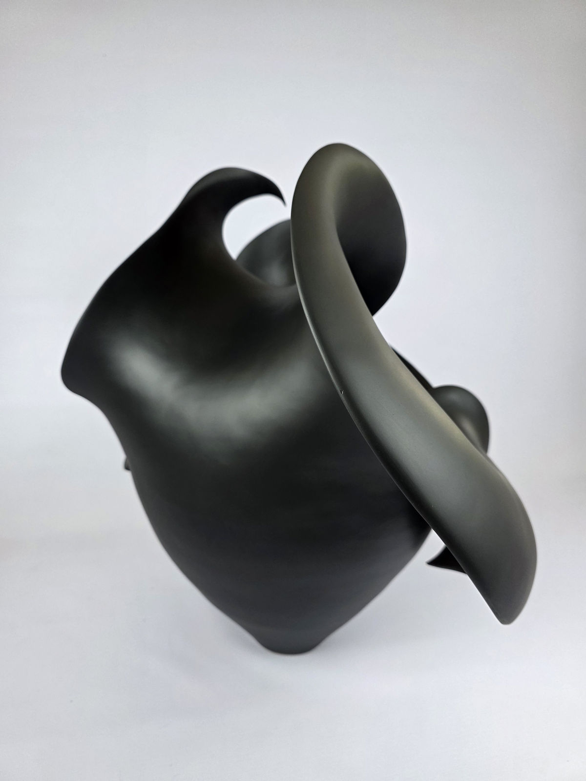 Astrid Dahl, Biomorphic Tendrils 2 (black), 2025