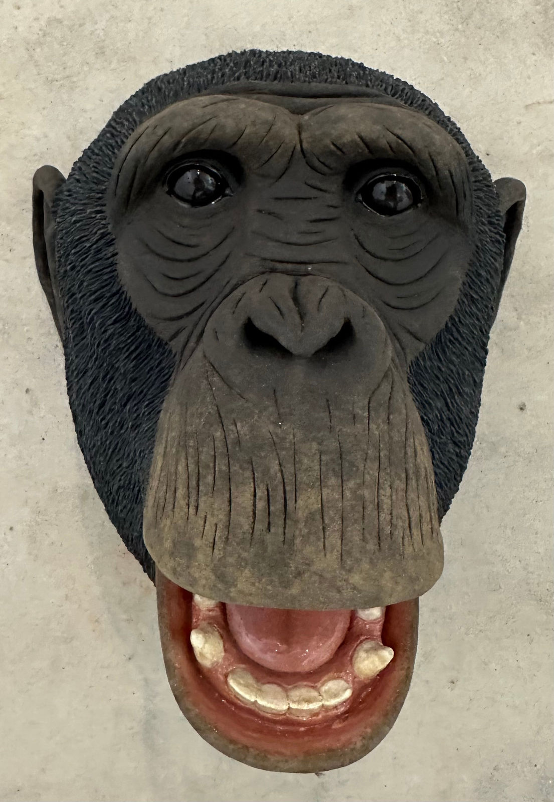 Matthew Edenbrow, Chimpanzee