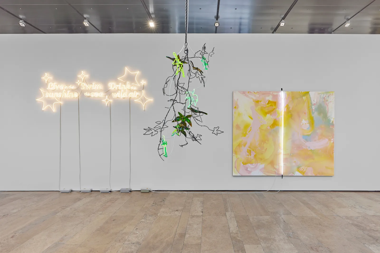 Andrea Bowers, Live in the Sunshine, Swim the Sea, Drink the Wild Air (Quote by Ralph Waldo Emerson), 2023