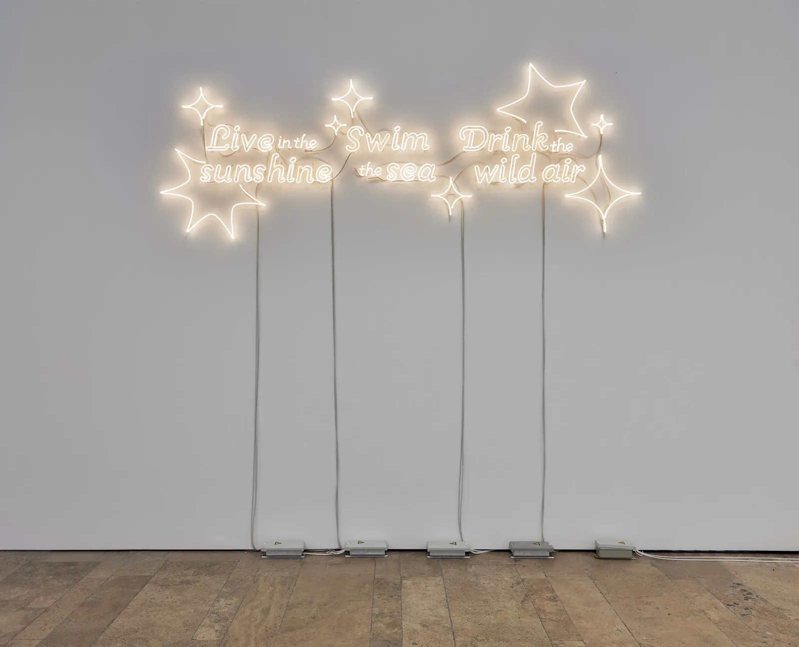 Andrea Bowers, Live in the Sunshine, Swim the Sea, Drink the Wild Air (Quote by Ralph Waldo Emerson), 2023