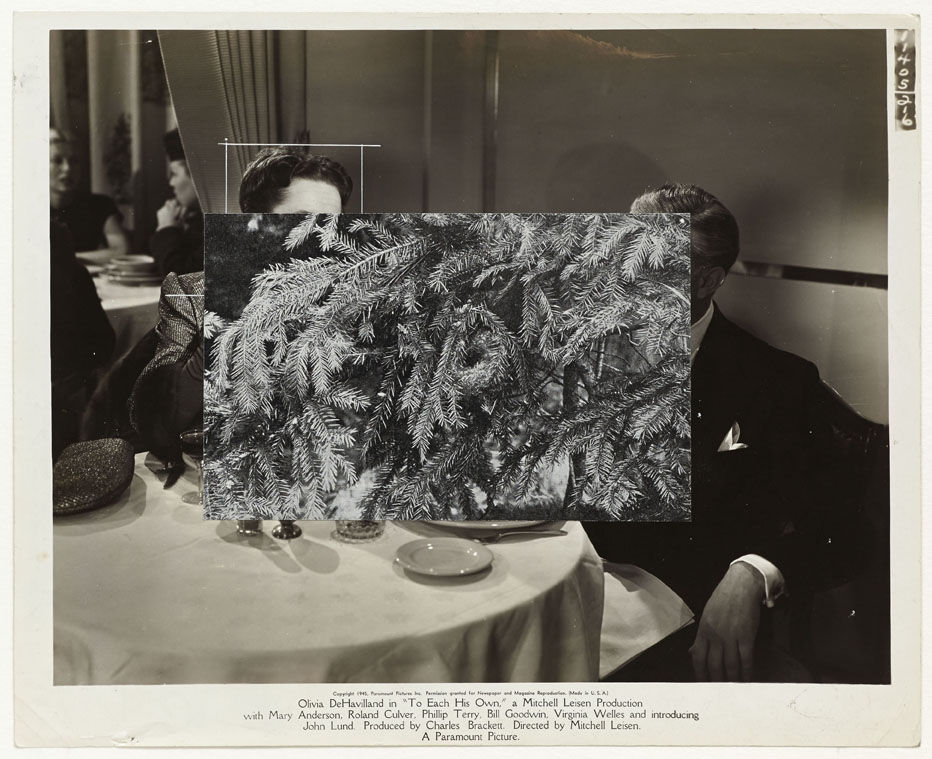 John Stezaker, Natural History II, 2012