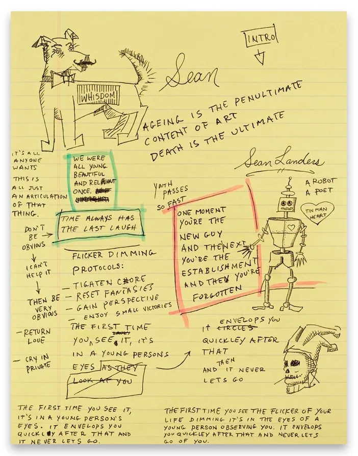 Sean Landers, Flicker Dimming Protocols, 2017