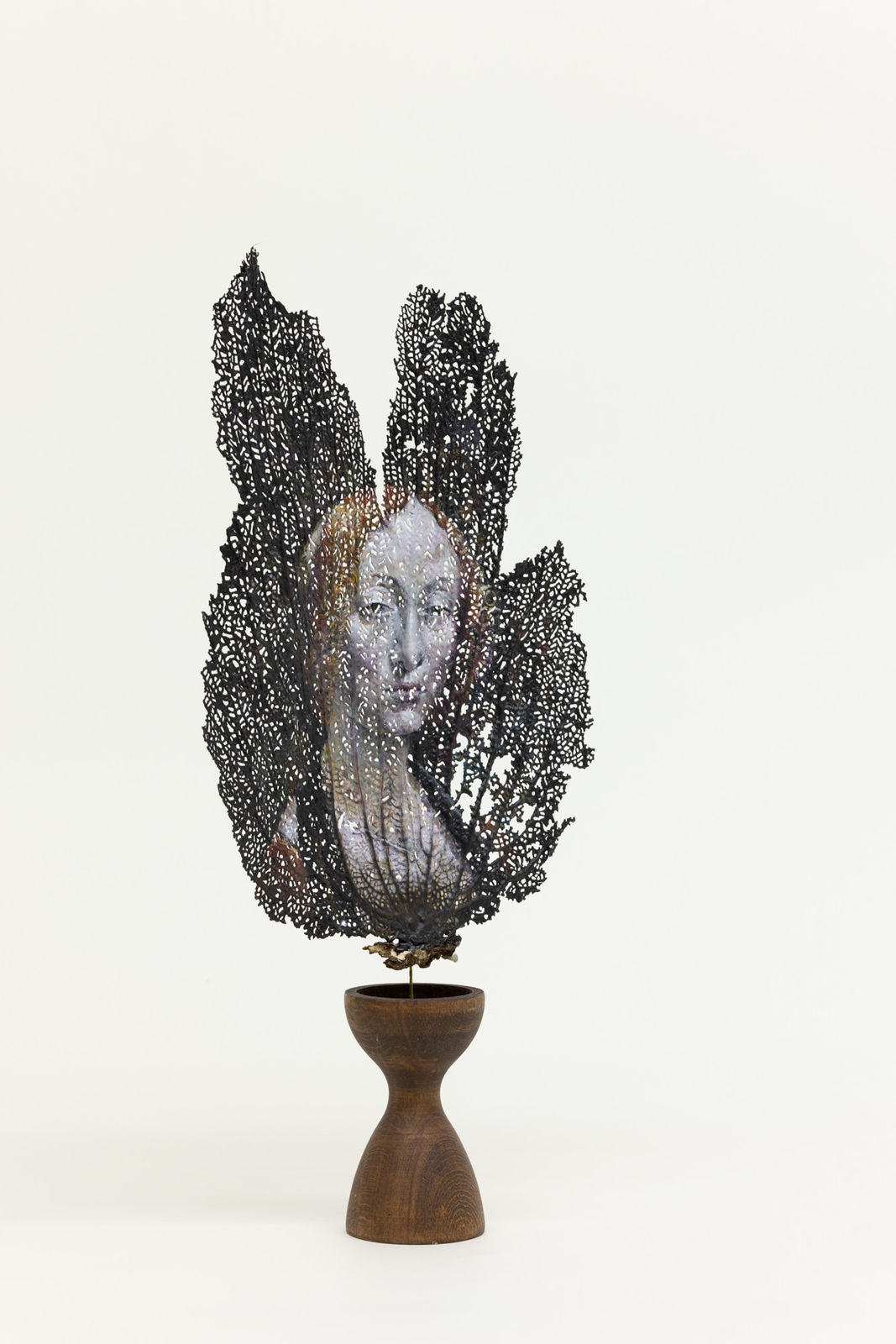 Chris Oh 克里斯·吴, Gorgon 戈耳工, 2023