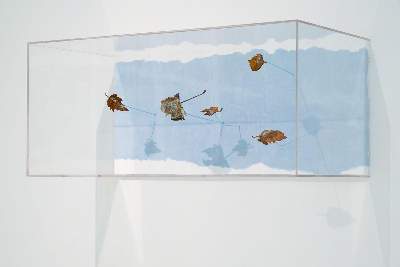 Maya Kramer 玛雅·克莱默, Empire Violet 紫罗兰帝国, 2018