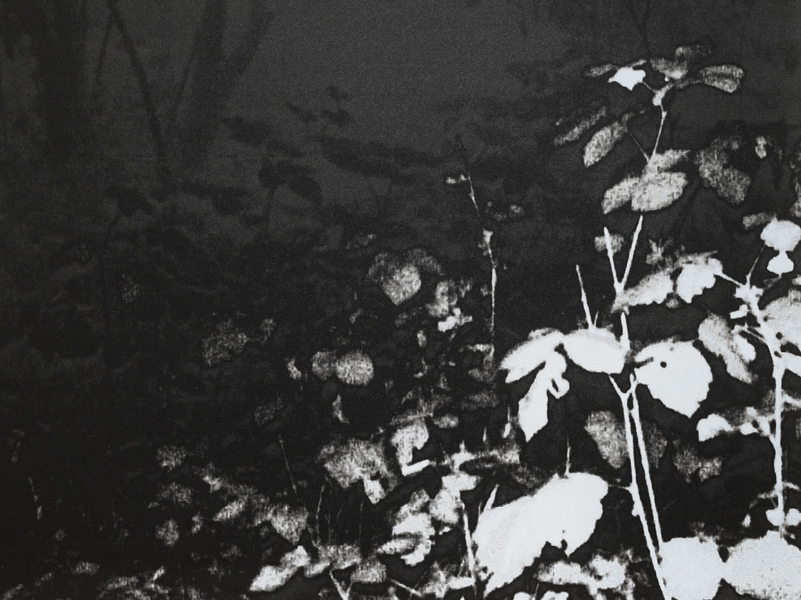 Luca Campestri 卢卡·坎佩斯特里, Trapped 困, 2023