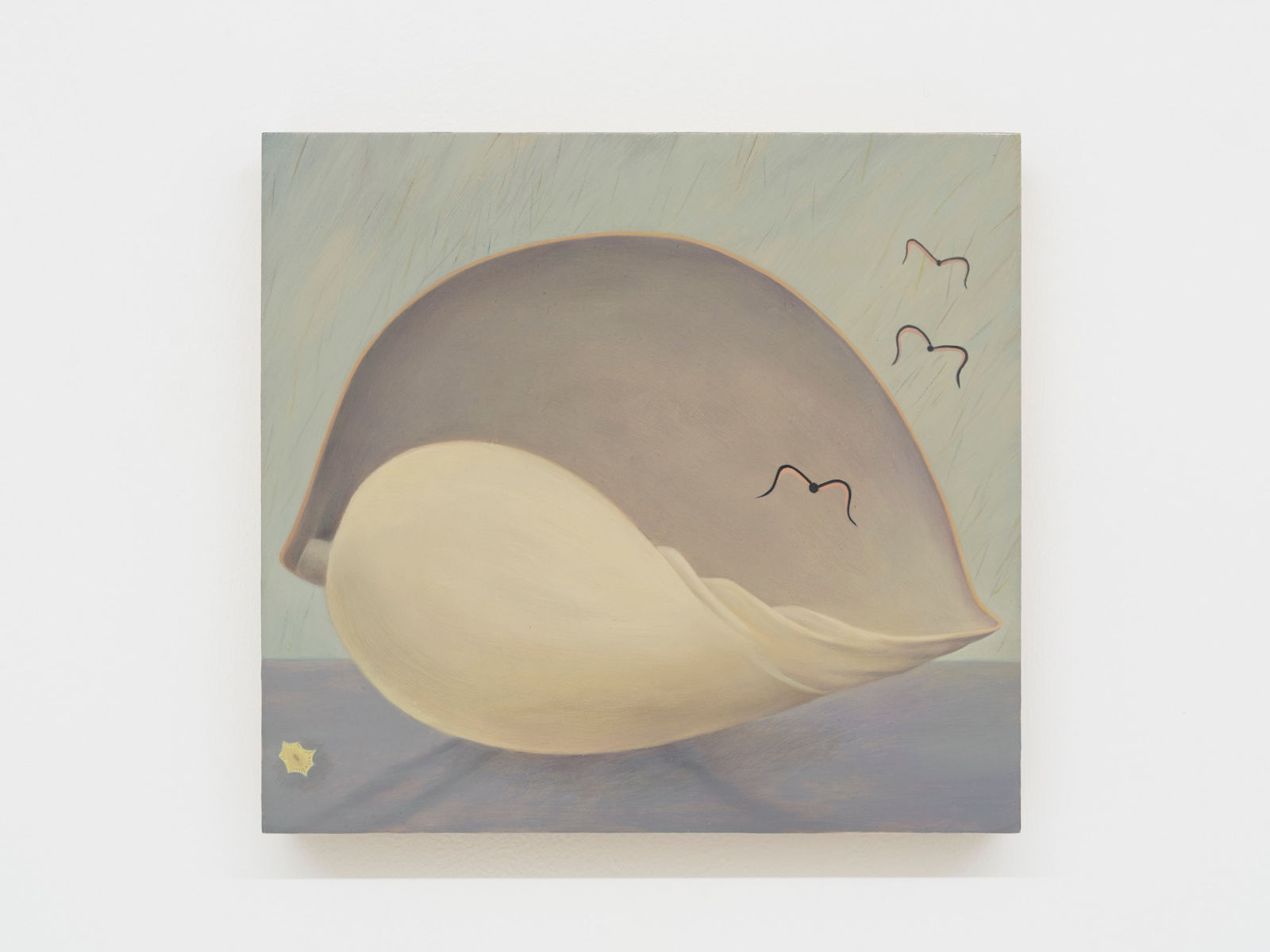 Kong Lingnan 孔令楠, Shell 贝壳 , 2025