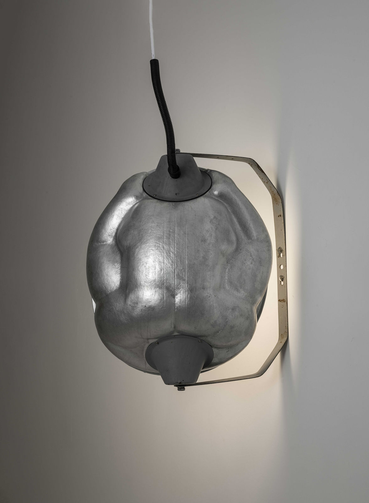 Tian Jianxin 田建新, Beetle 甲虫, 2023