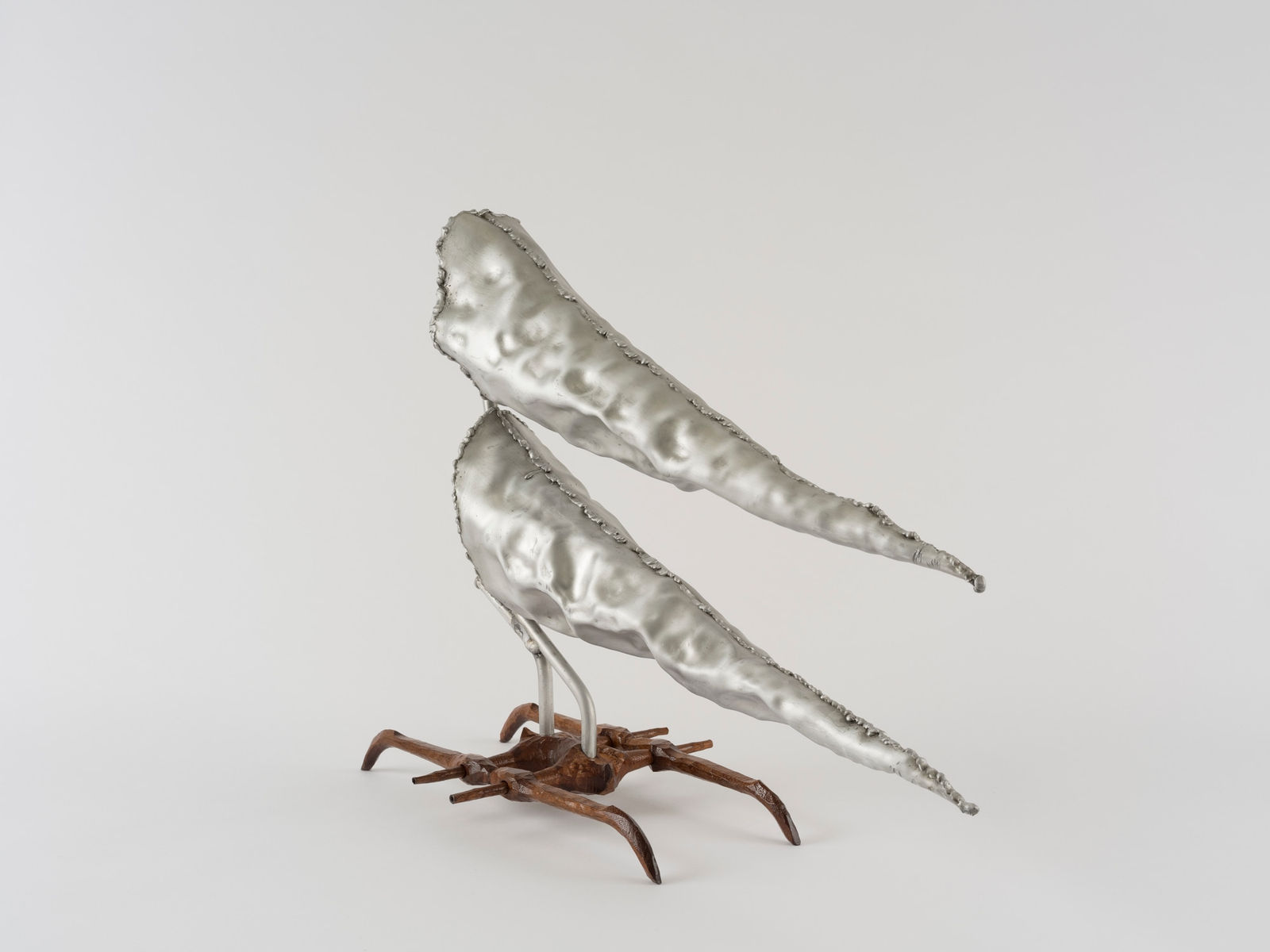 Douglas Rieger 道格拉斯·莱杰, Two Cones 两个尖椎, 2025