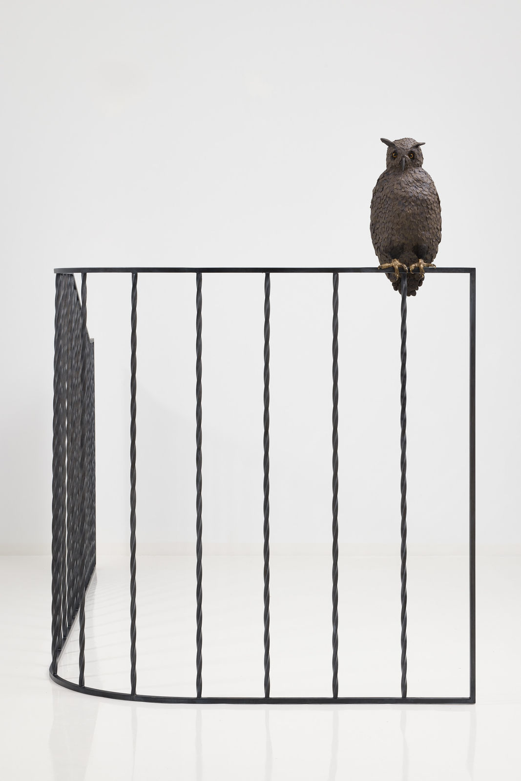 Elizabeth Jaeger 伊丽莎白·耶格, Rail (Flaco) 围栏（弗拉科）, 2024