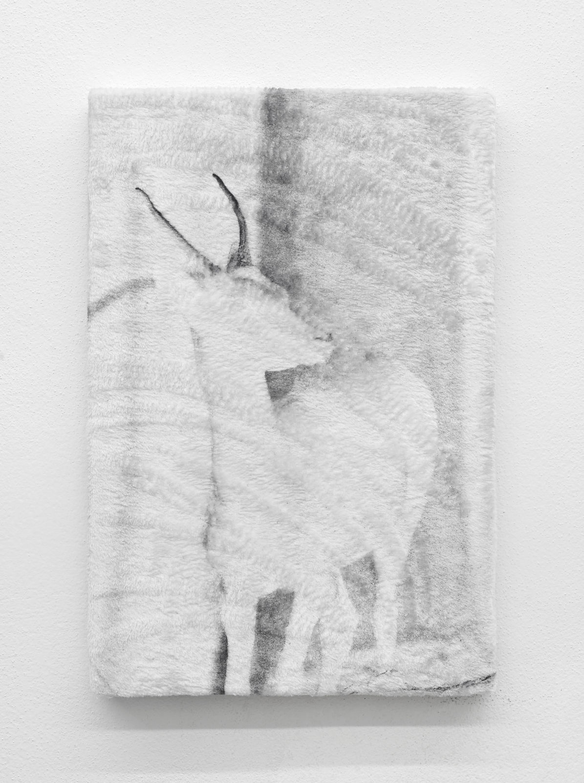 Luca Campestri 卢卡·坎佩斯特里, Like velvety scars 像天鹅绒般的伤痕, 2026