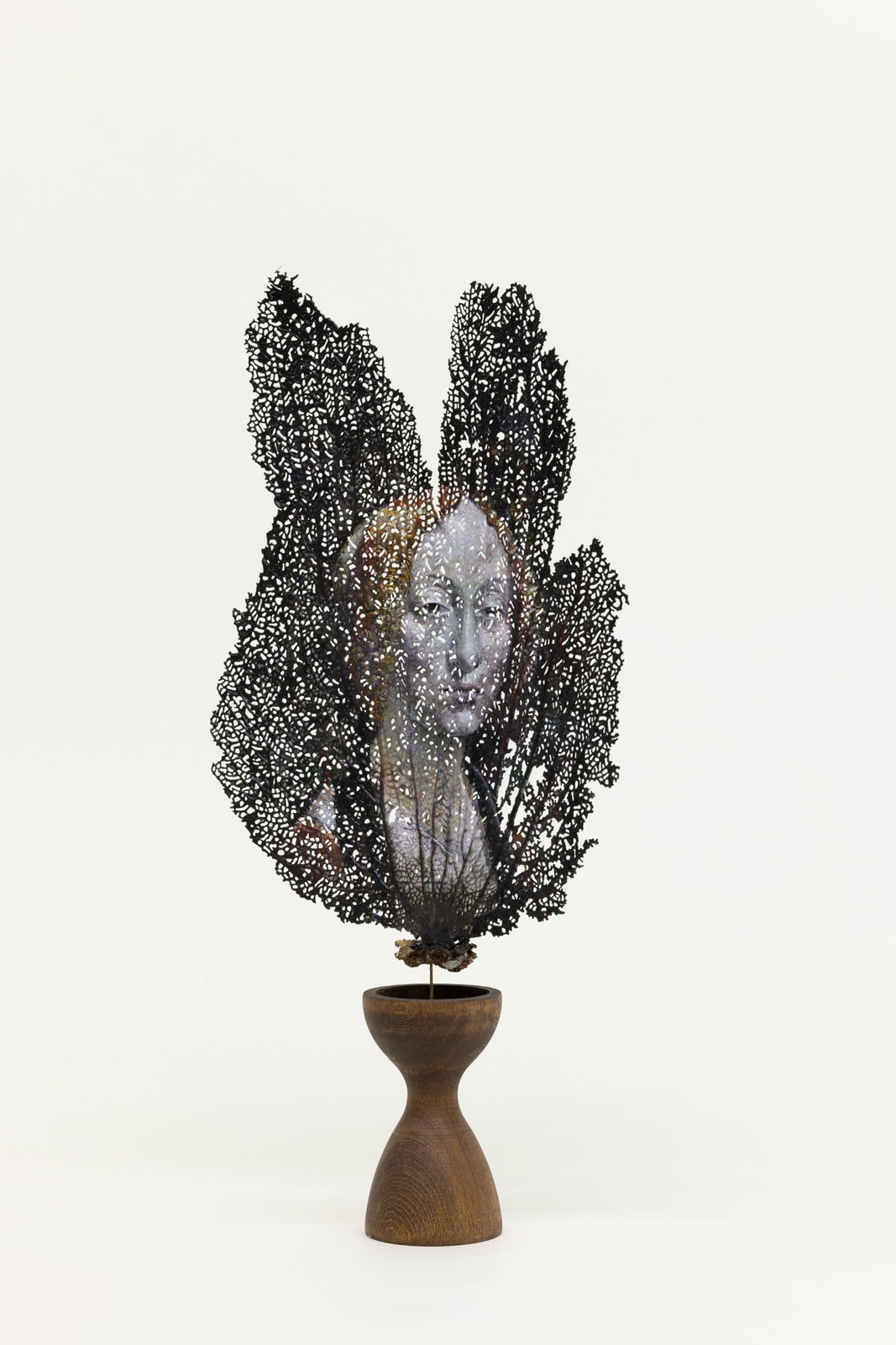 Chris Oh 克里斯·吴, Gorgon 戈耳工, 2023