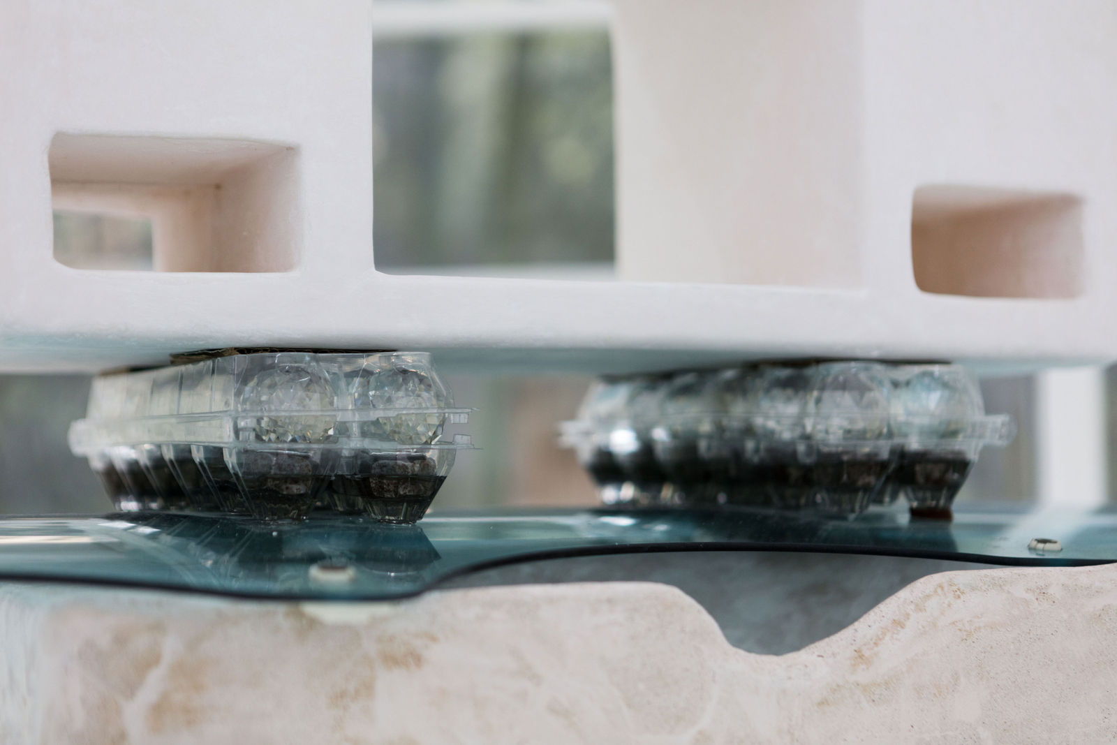 Leelee Chan 陳麗同, Protector 守护者, 2018