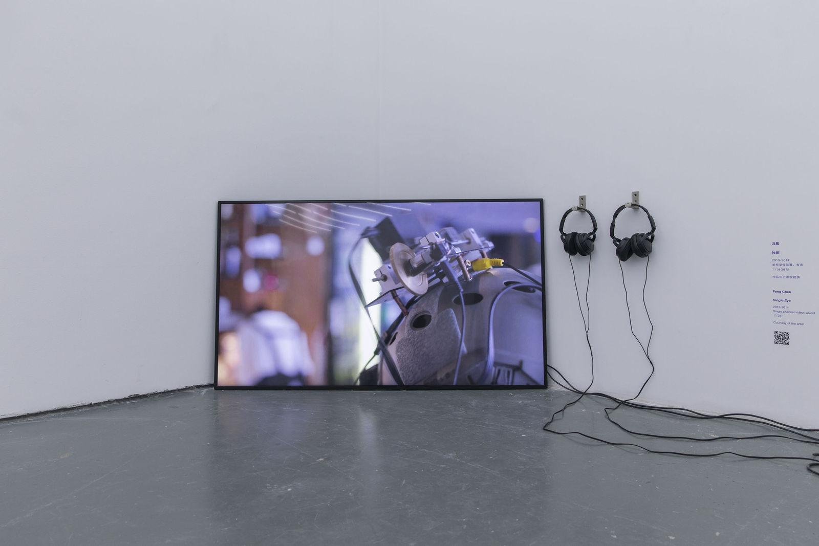 Feng Chen 冯晨, Single Eye 独眼, 2013-2014