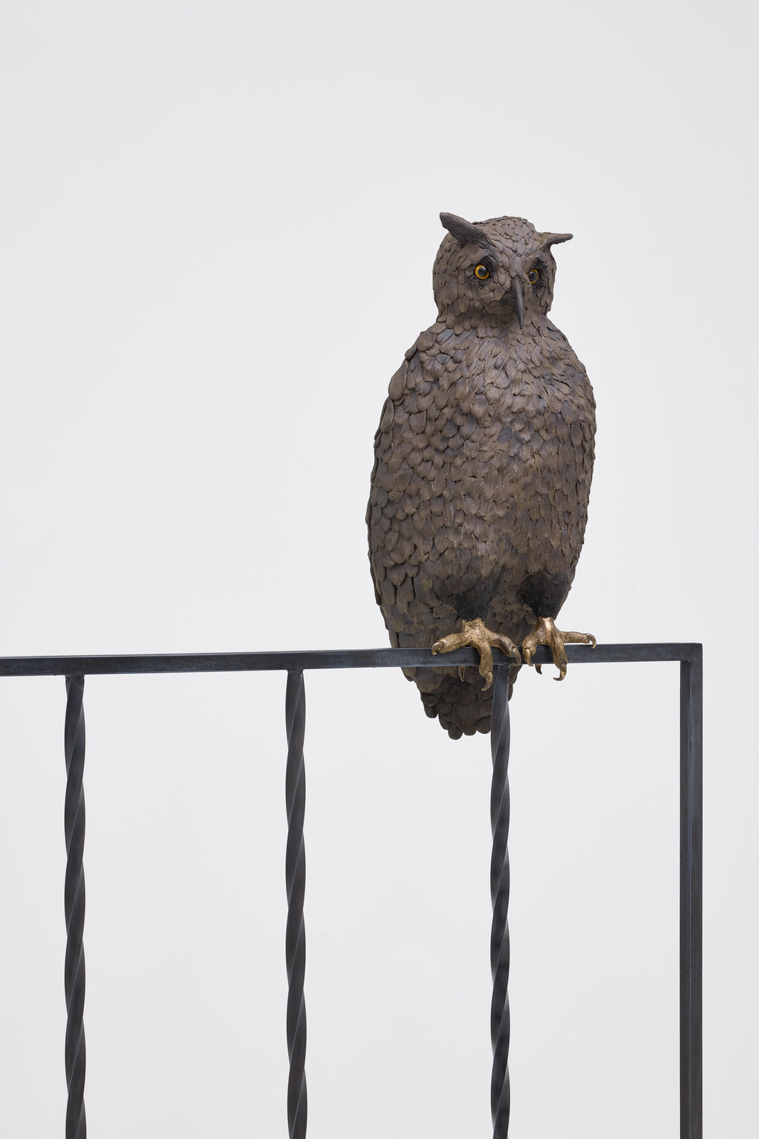 Elizabeth Jaeger 伊丽莎白·耶格, Rail (Flaco) 围栏（弗拉科）, 2024