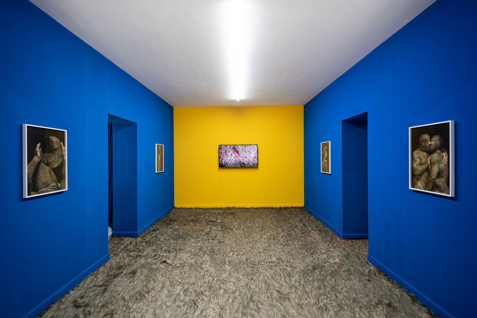 Wang Haiyang 王海洋, Skins 01-06 皮囊 01-06, 2017-2018