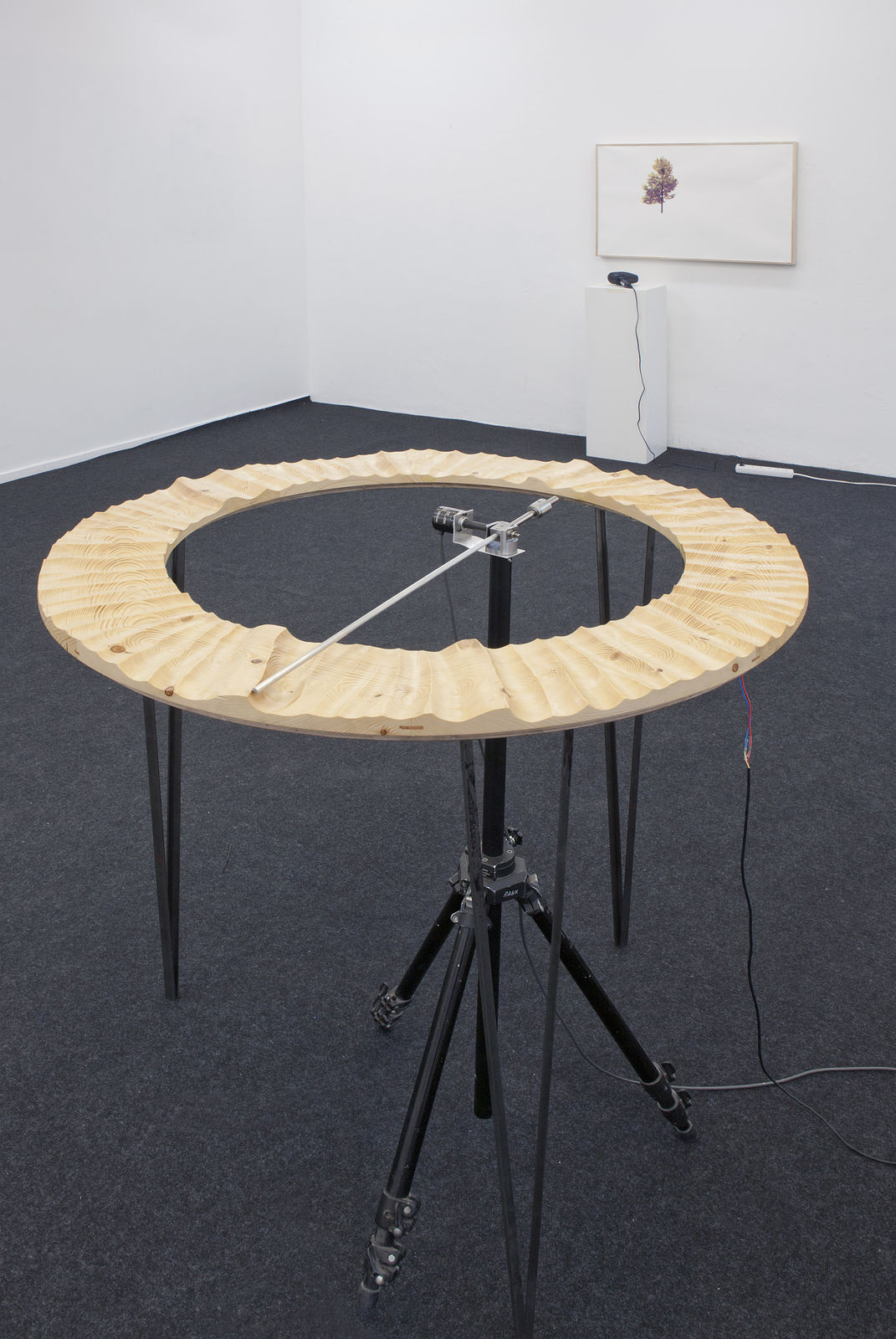 Feng Chen 冯晨, W, 2015