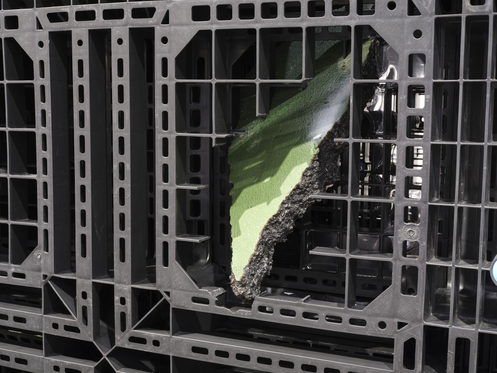 Leelee Chan 陳麗同, Pallet in Repose (Resurfacer) 凝伫之盘（重现）, 2021