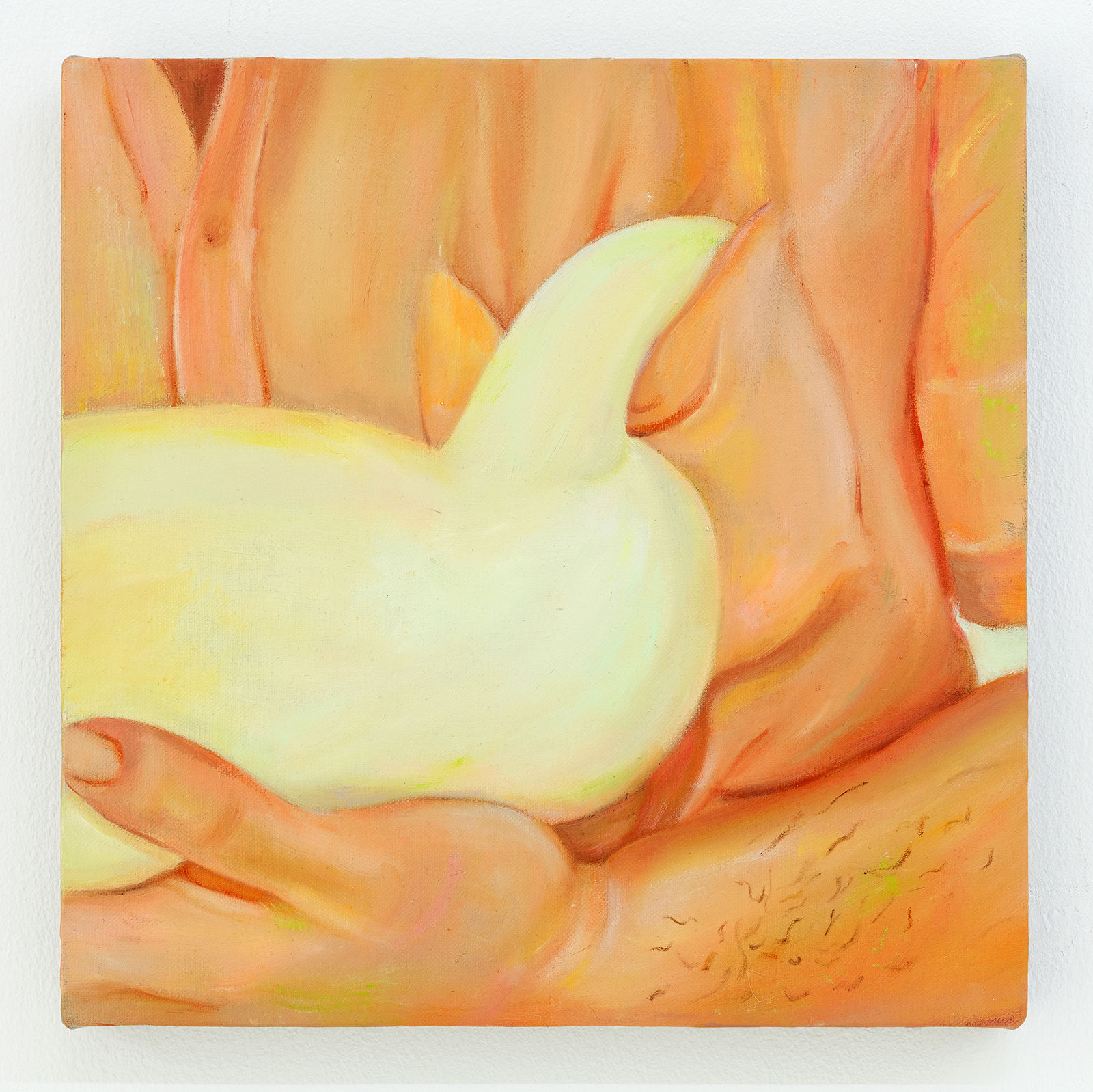 Tao Siqi 陶斯祺, Duck 鸭子, 2020