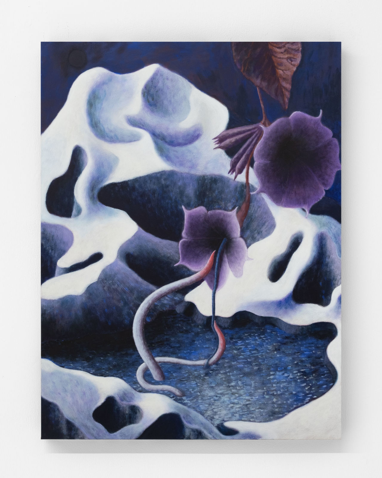 Mevlana Lipp 梅夫拉纳·利普, Loch 湖, 2025