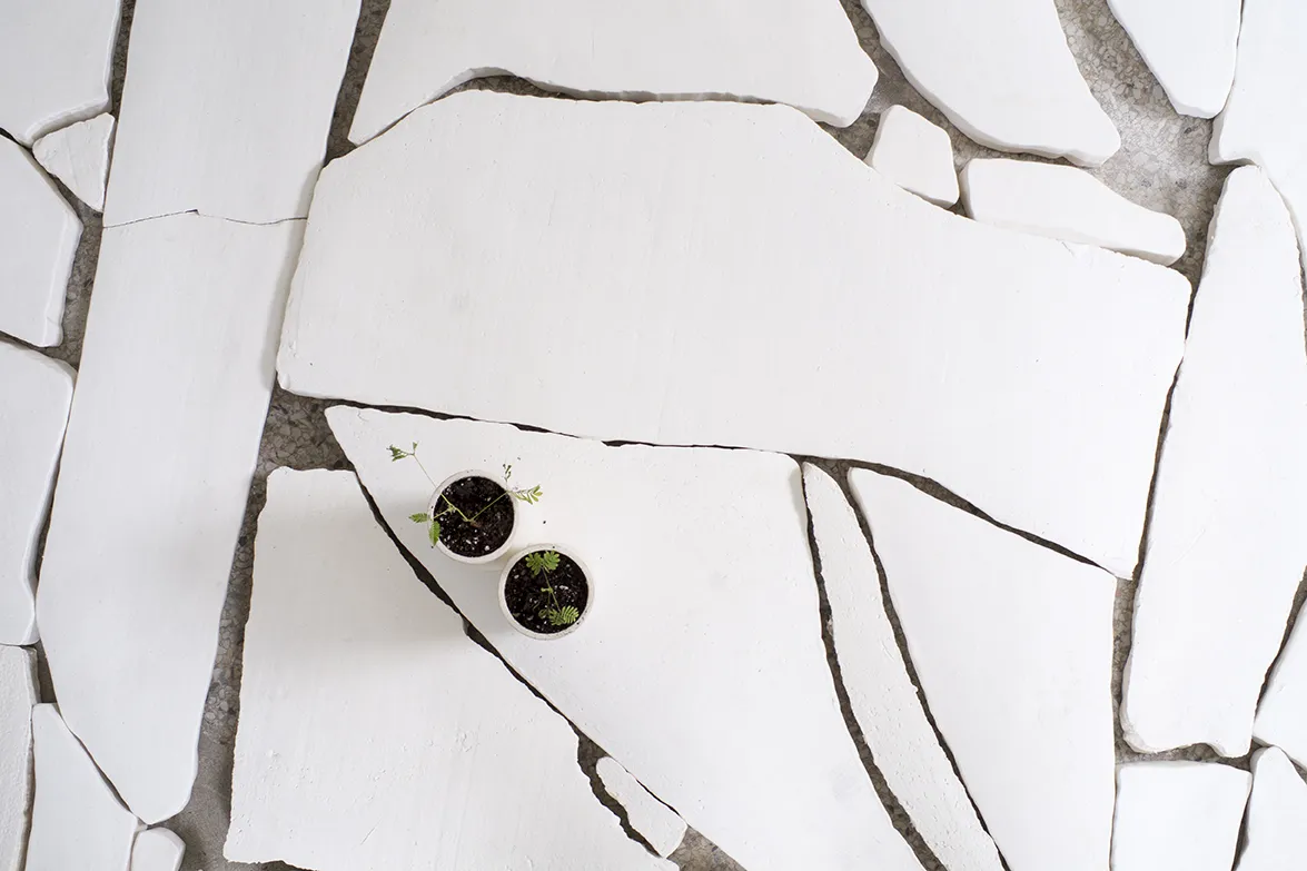 Alice Wang 王凝慧, Untitled 无题, 2017