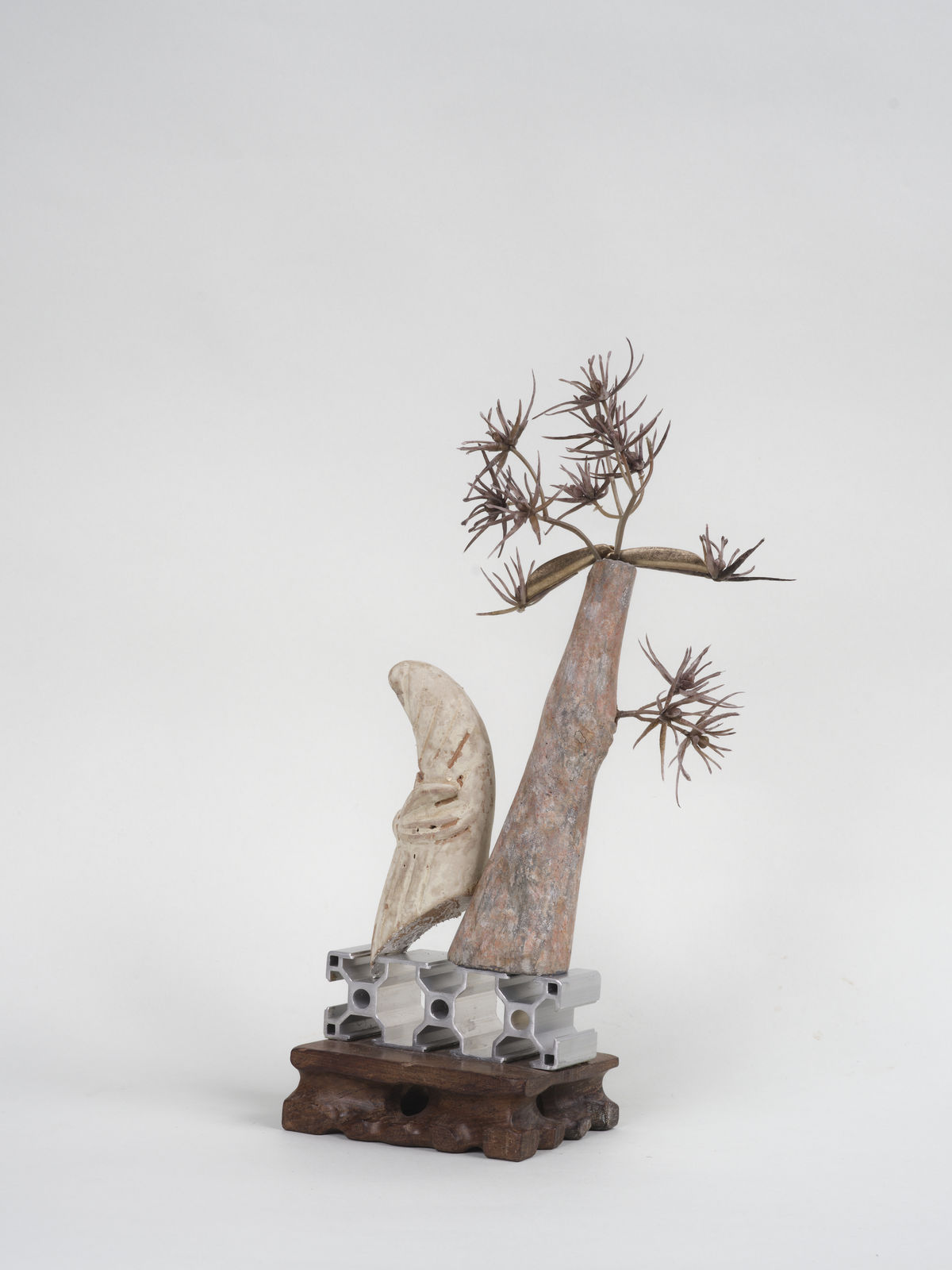 Leelee Chan 陳麗同, Desert Crest 沙漠山稜, 2021