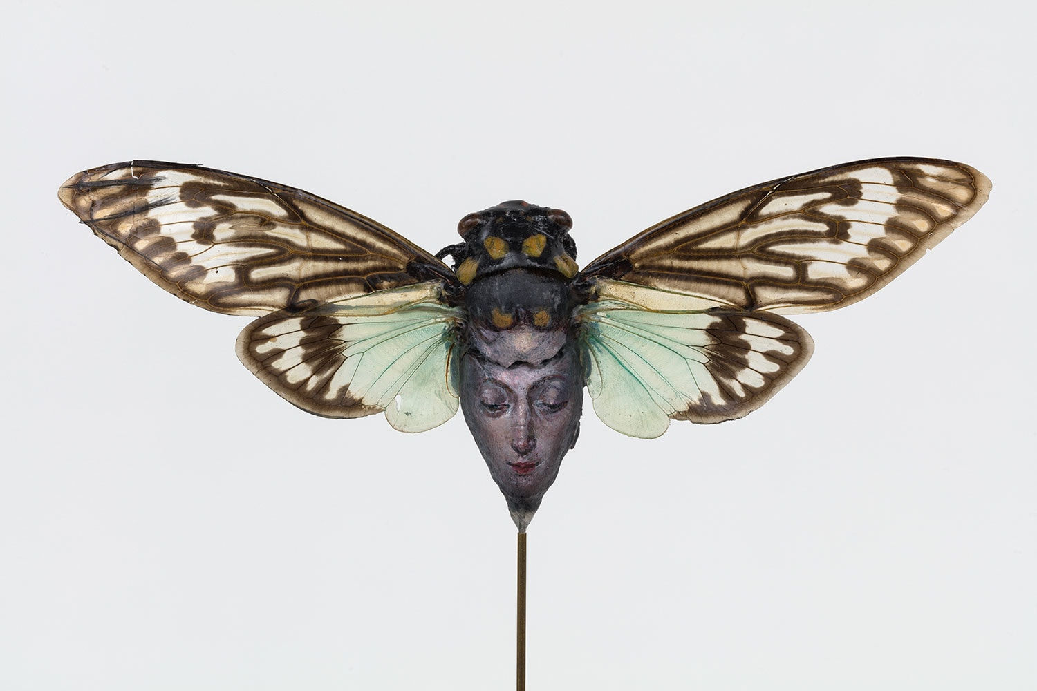 Chris Oh 克里斯·吴, Hatch 孵化, 2023