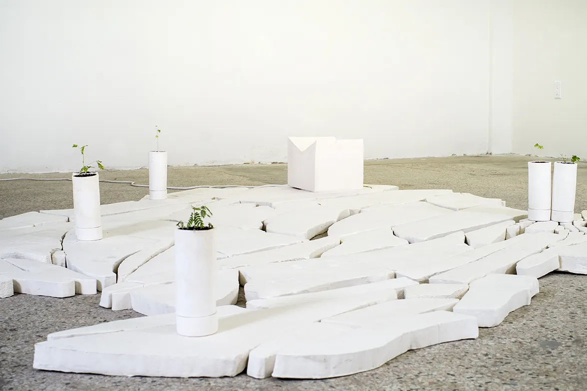 Alice Wang 王凝慧, Untitled 无题, 2017