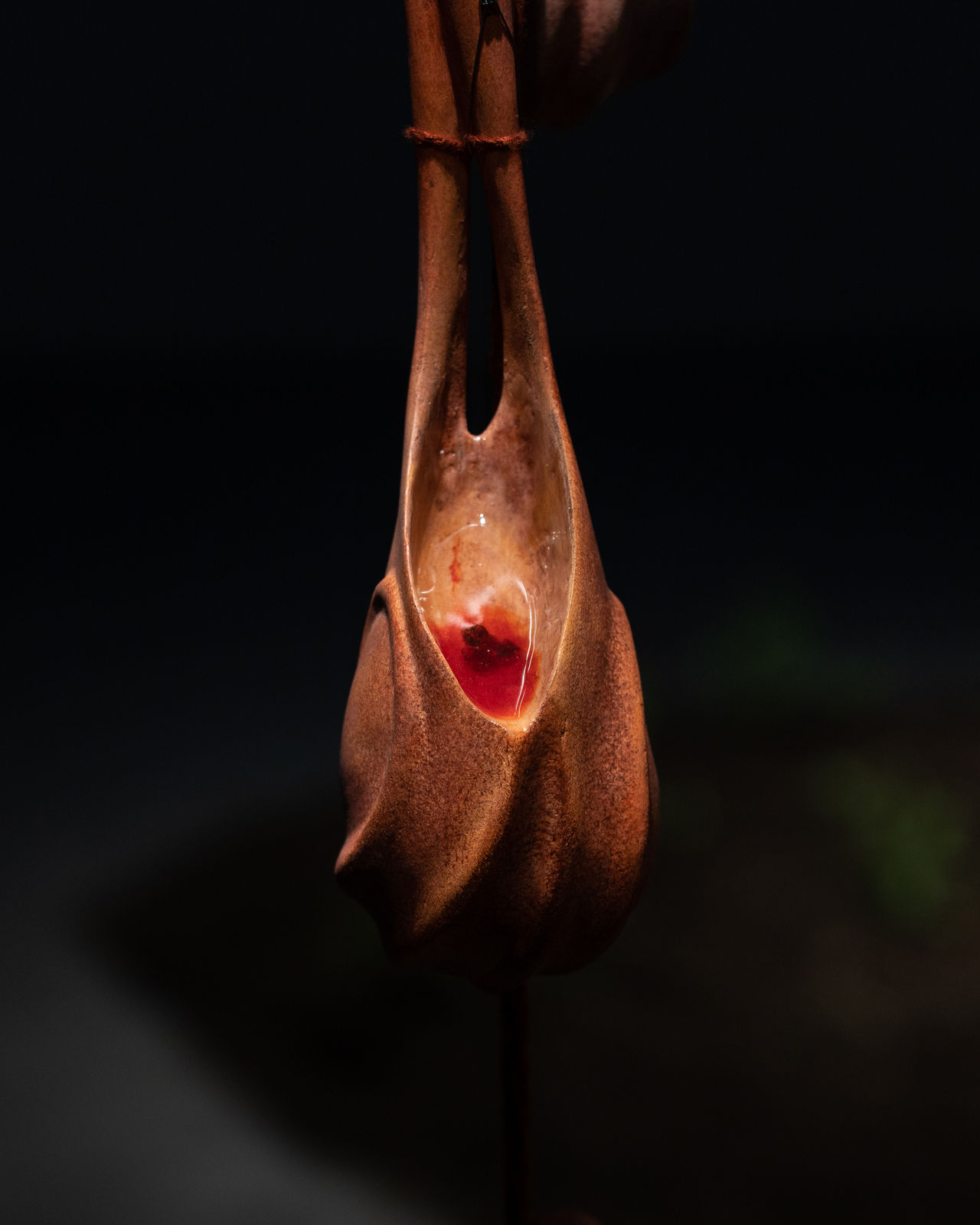 Liao Wen 廖雯, The Ladder to the Moon 月梯, 2021