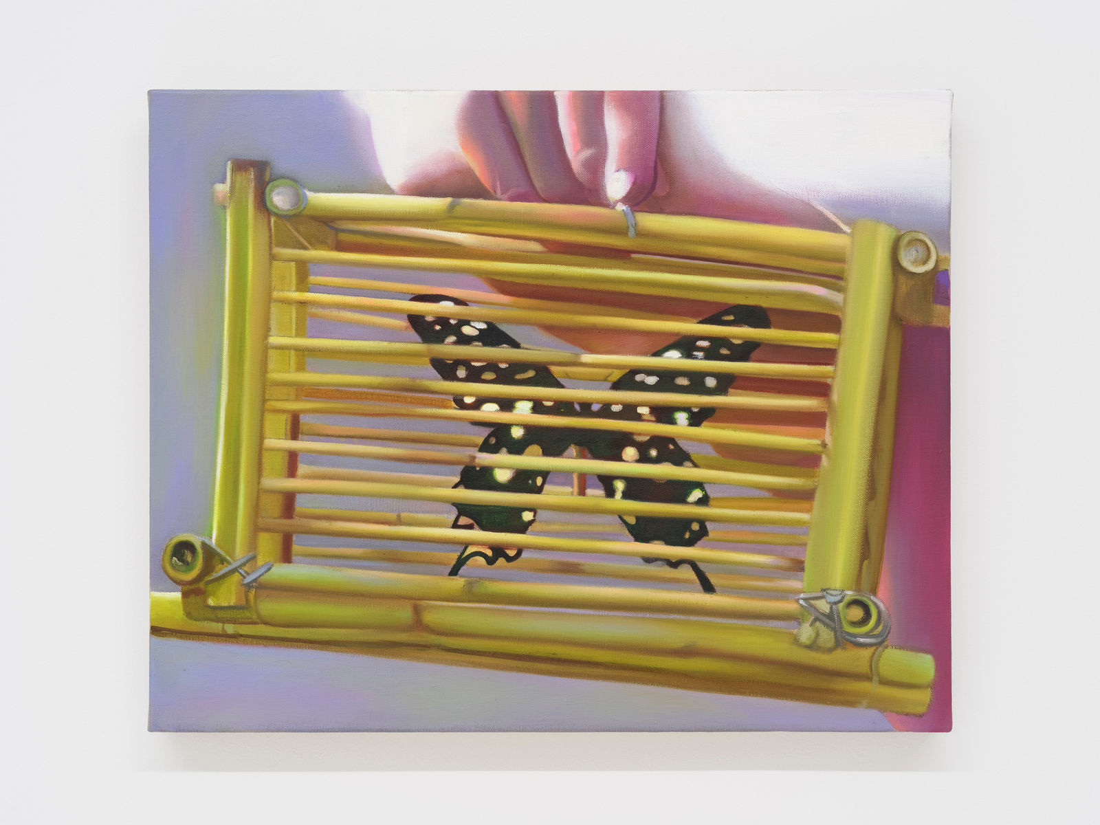 Tao Siqi 陶斯祺, Tender Captive 囚蝶, 2025