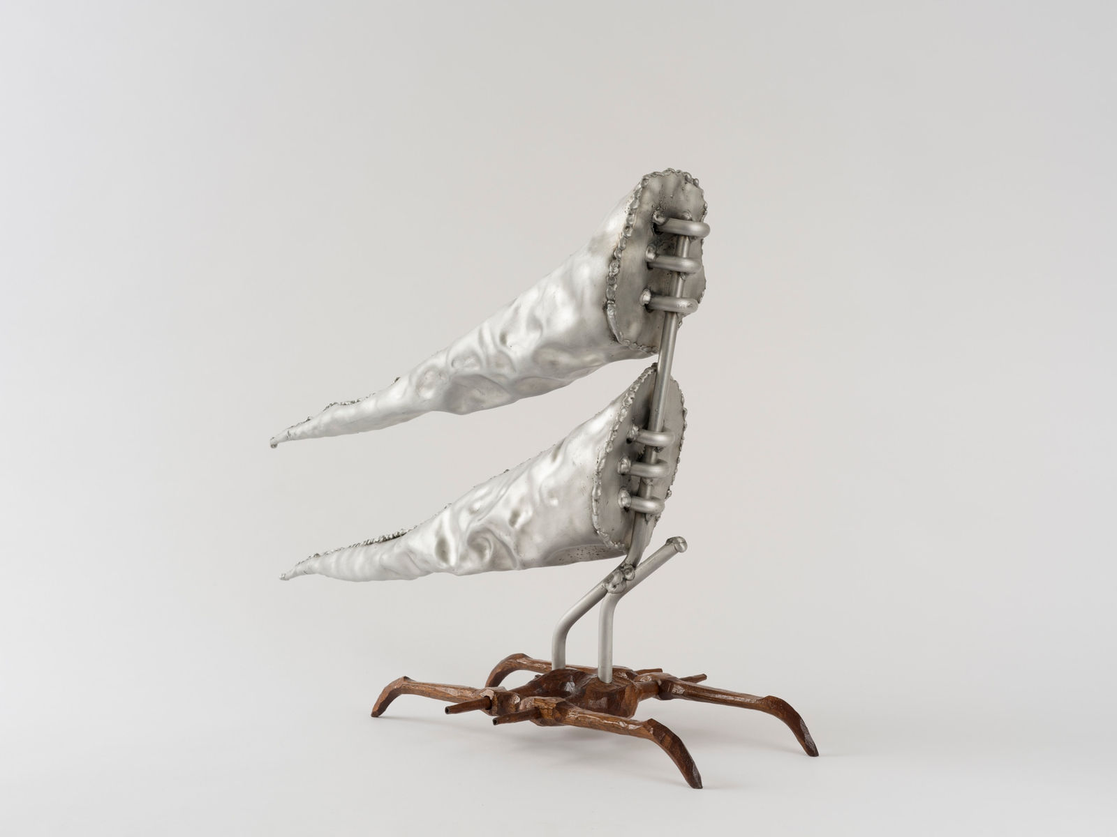 Douglas Rieger 道格拉斯·莱杰, Two Cones 两个尖椎, 2025