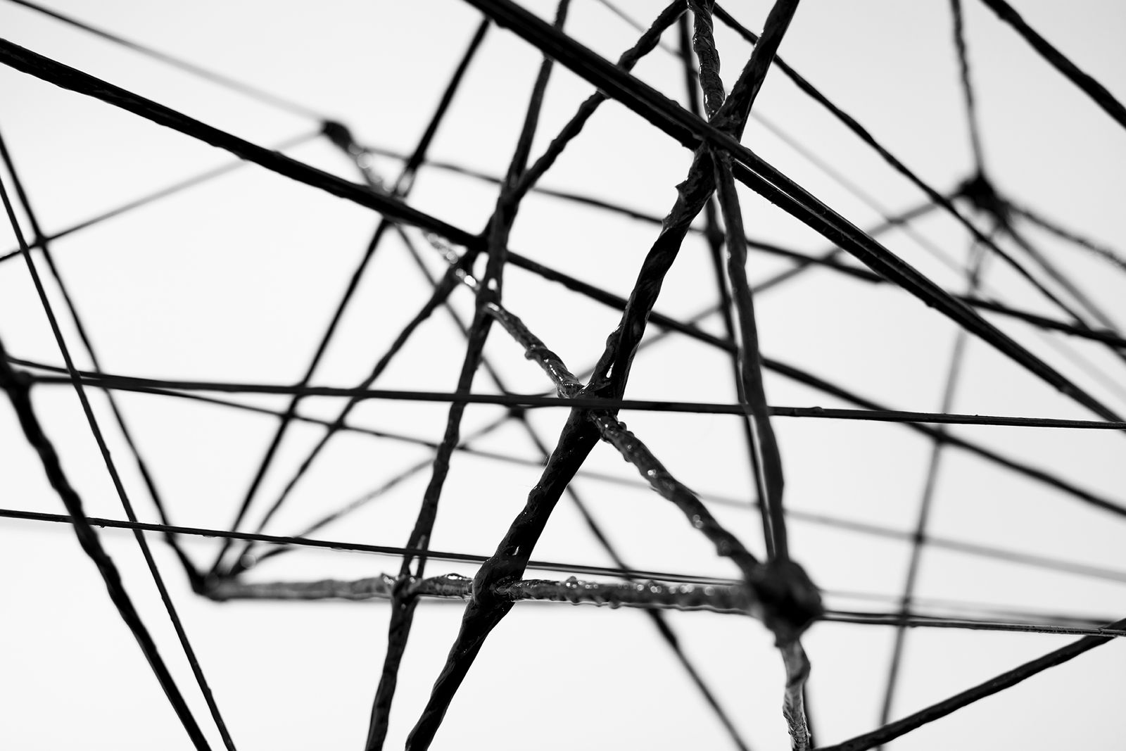 Feng Chen 冯晨, 7 Real Magic Books - Bees 7本真实存在的魔法书 － 蜜蜂, 2017