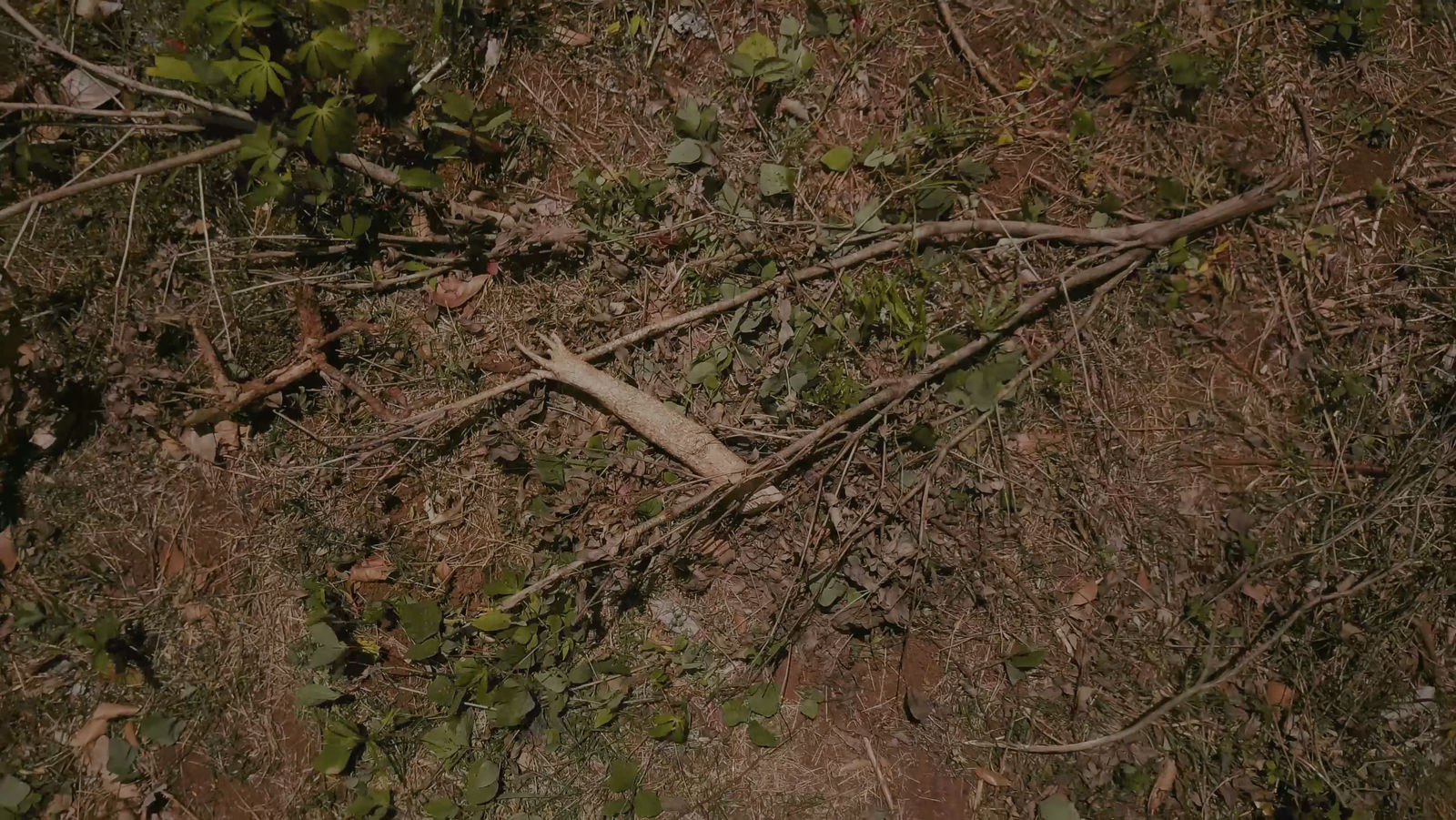 Hu Yun 胡昀, Carving water, melting stones 刻水融石, 2019