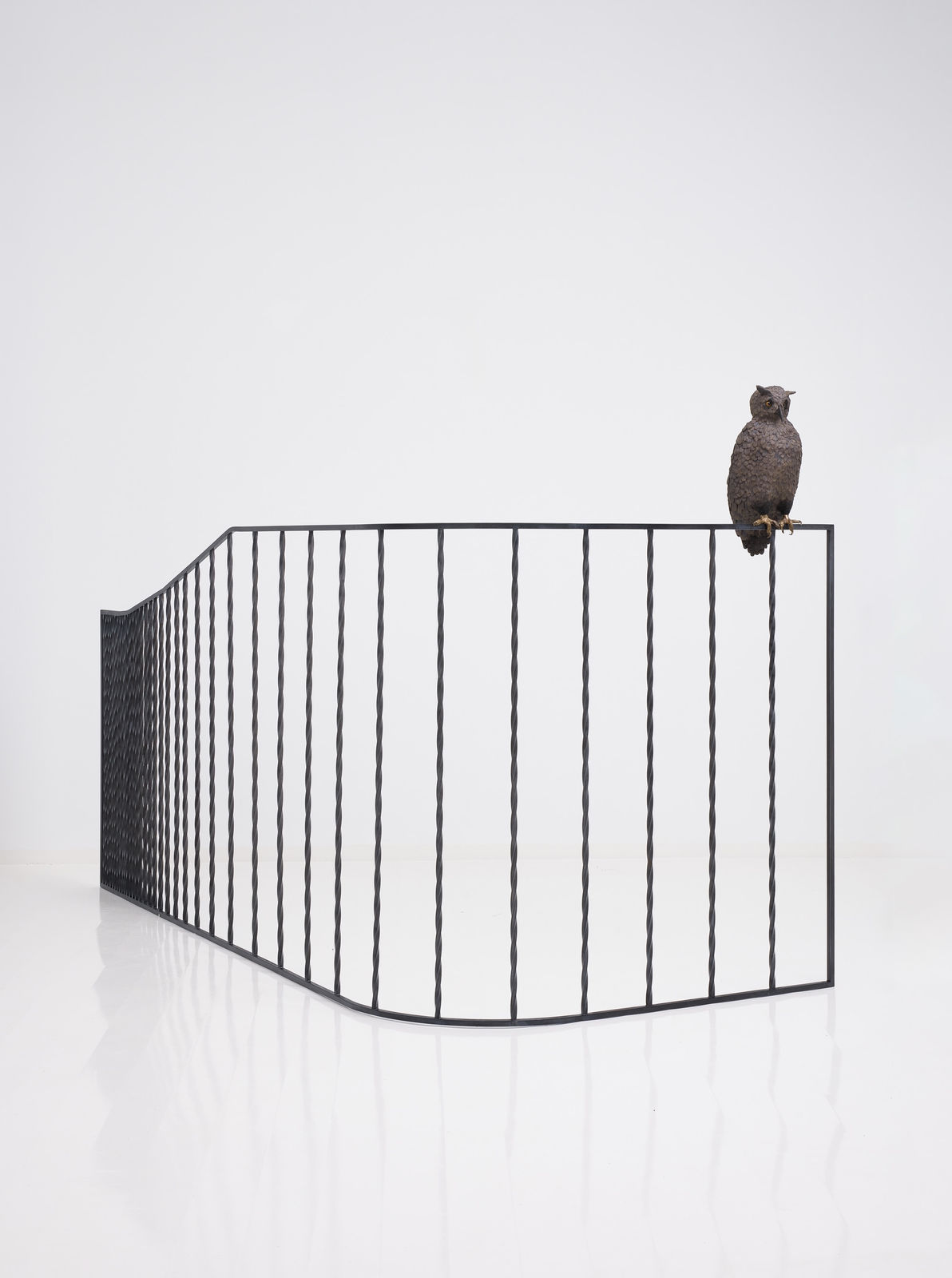 Elizabeth Jaeger 伊丽莎白·耶格, Rail (Flaco) 围栏（弗拉科）, 2024