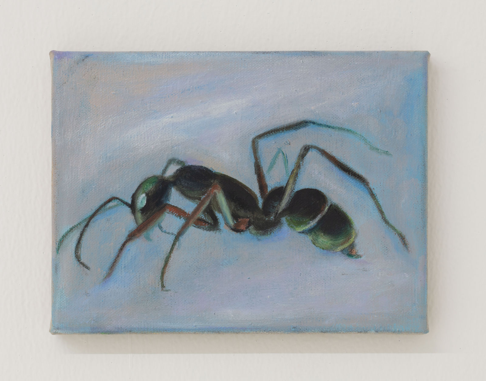 Tao Siqi 陶斯祺, Ant 蚂蚁, 2019