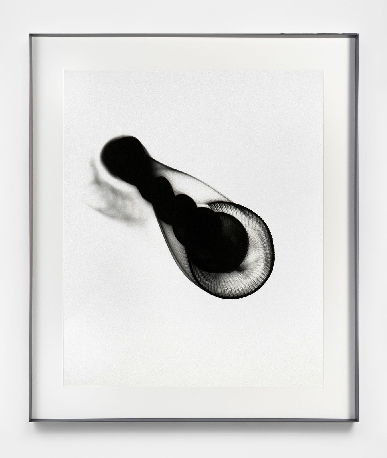 Feng Chen 冯晨, SN-13, 2020