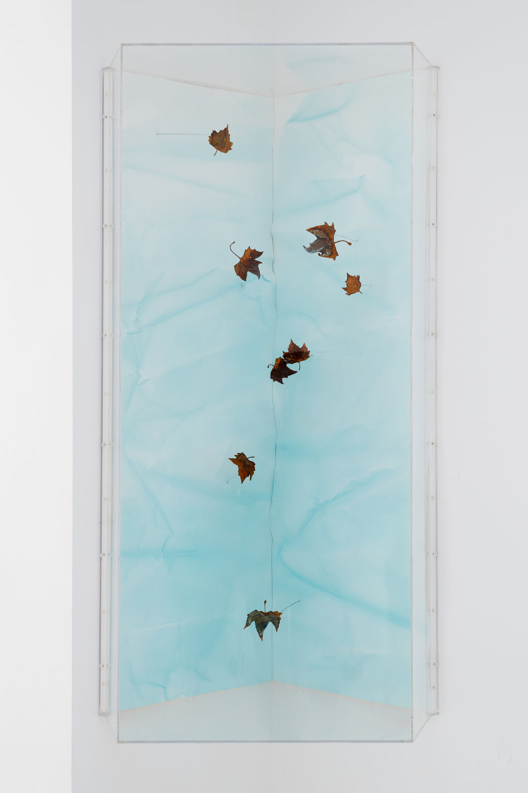 Maya Kramer 玛雅·克莱默, History Isn’t Natural, 历史不自然, 2016