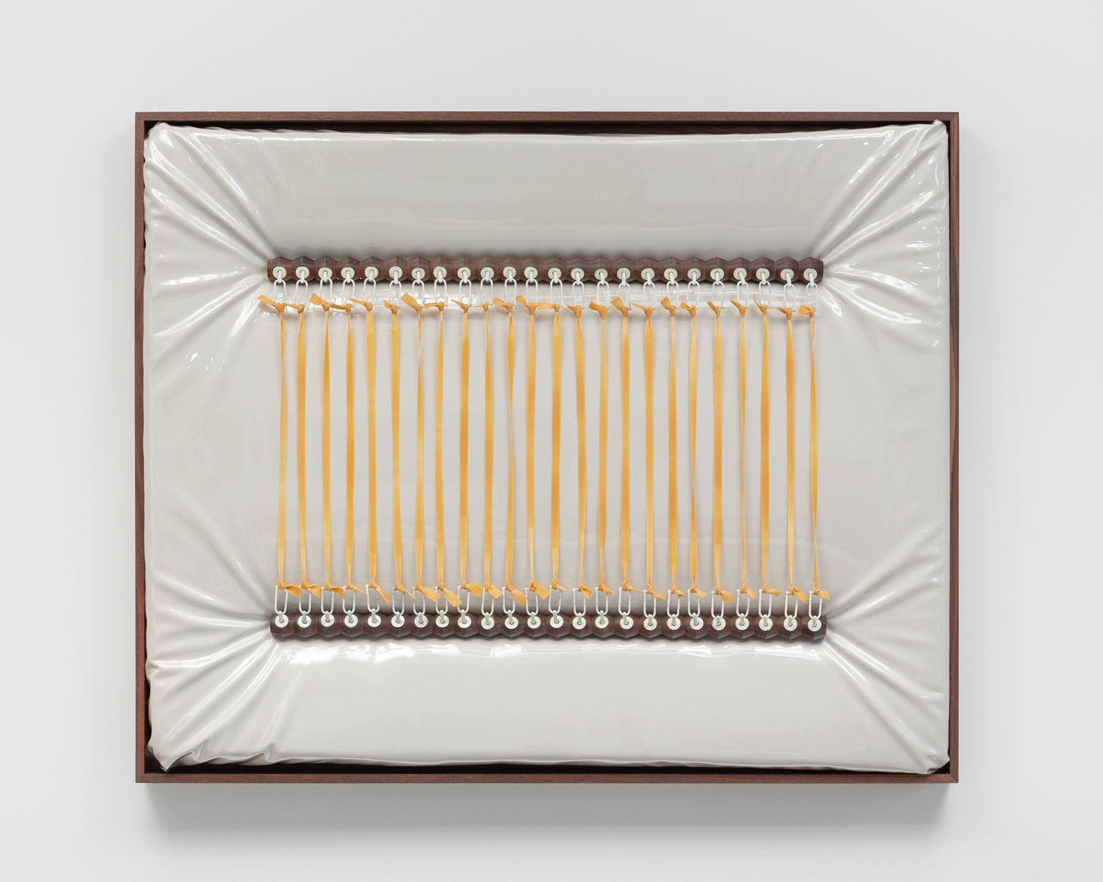 Douglas Rieger 道格拉斯·莱杰, Instrument 乐器, 2021