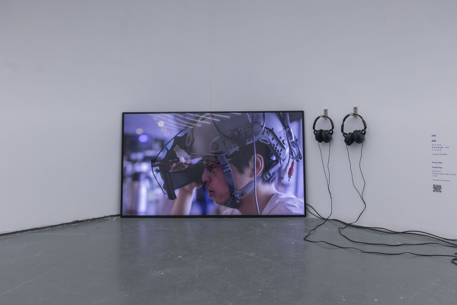 Feng Chen 冯晨, Single Eye 独眼, 2013-2014