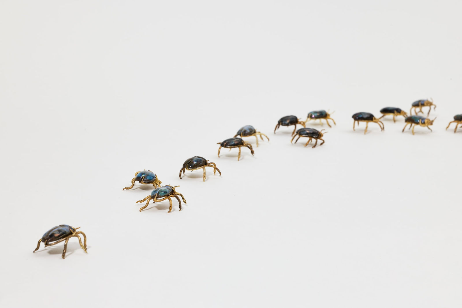 Elizabeth Jaeger 伊丽莎白·耶格, Beetles 甲壳虫, 2024