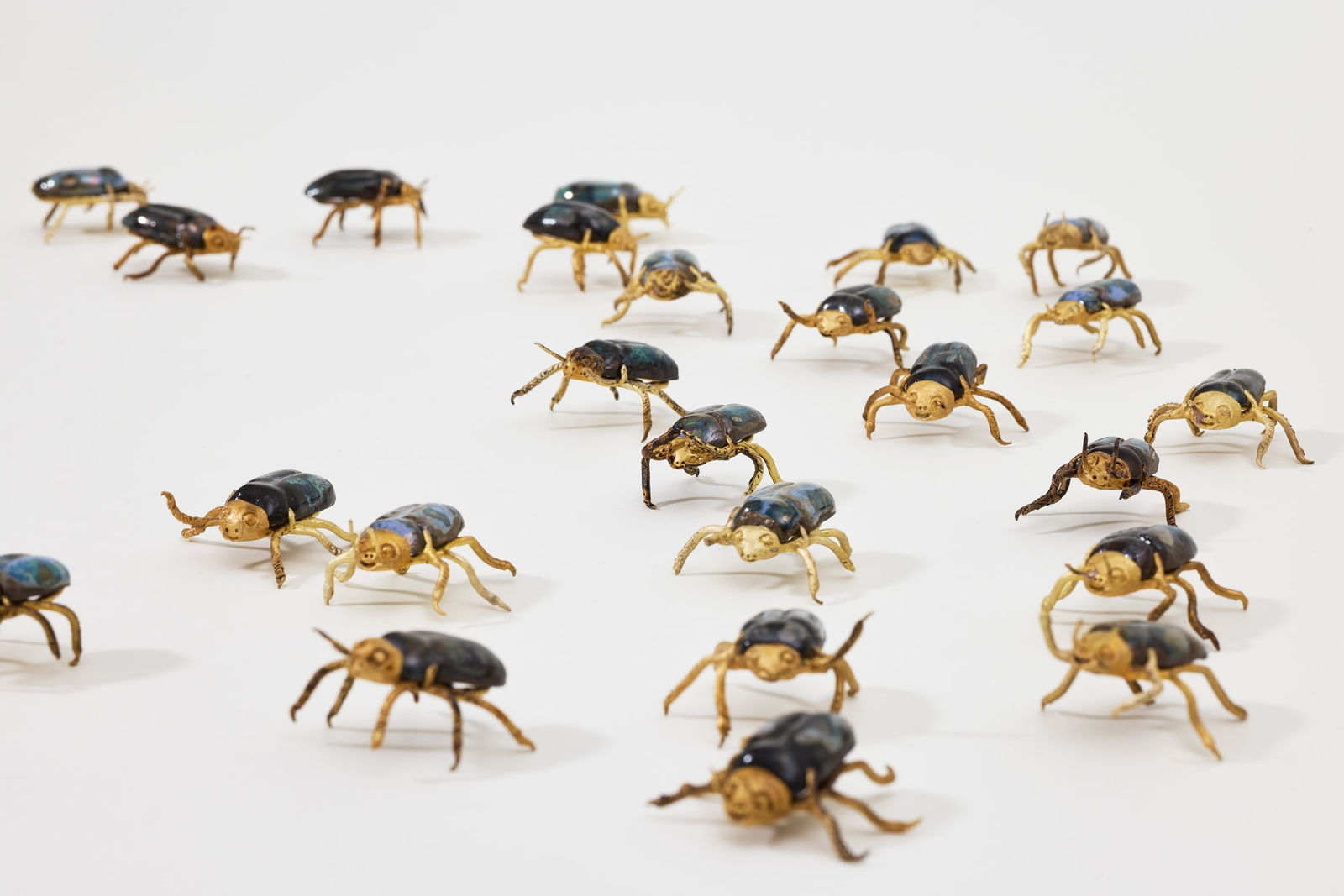Elizabeth Jaeger 伊丽莎白·耶格, Beetles 甲壳虫, 2024