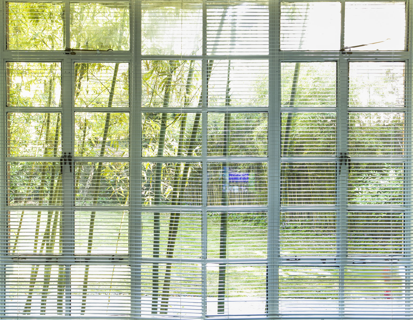 Feng Chen 冯晨, The Darker Side of Light 光的背面, 2017