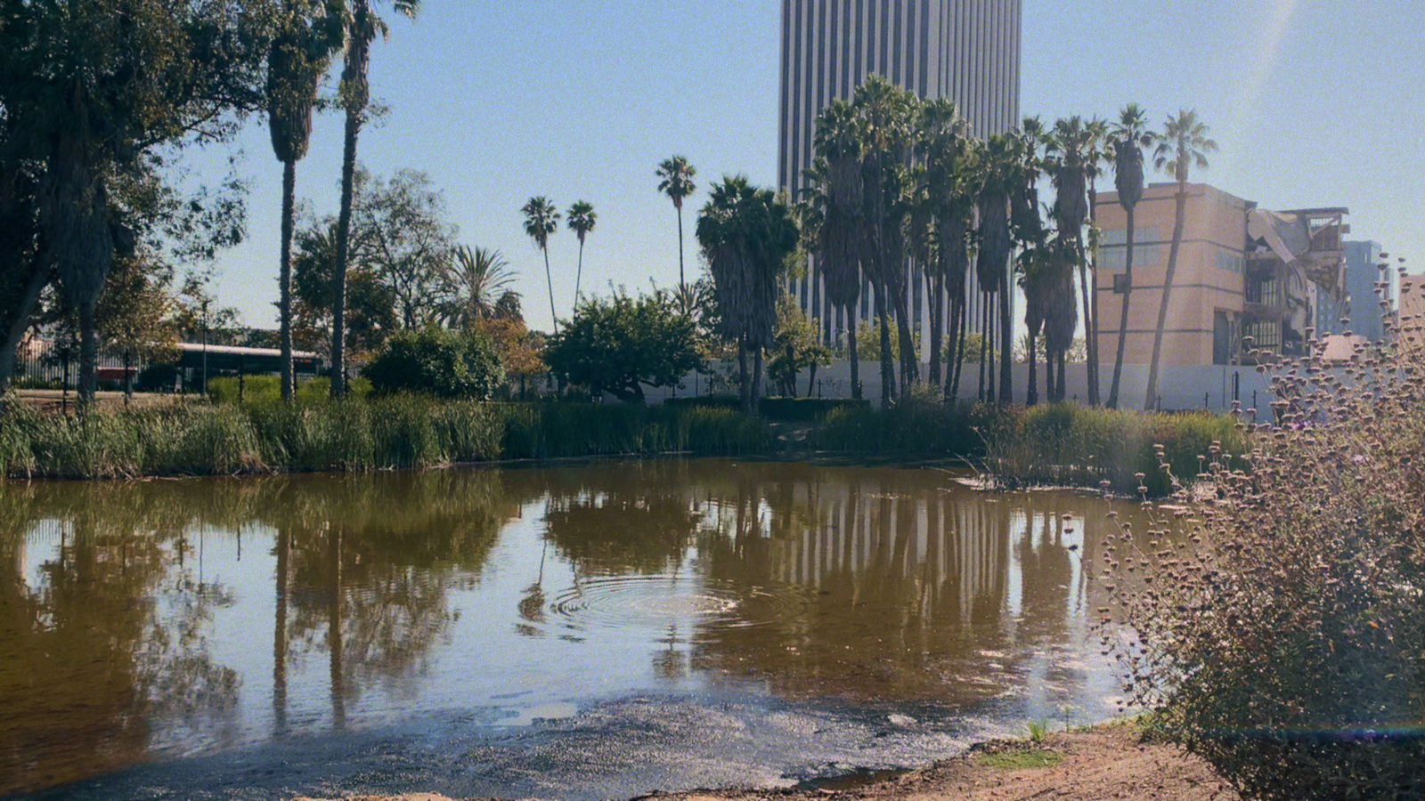 Alice Wang 王凝慧, Pyramids and Parabolas II 角锥体与抛物线 II, 2021