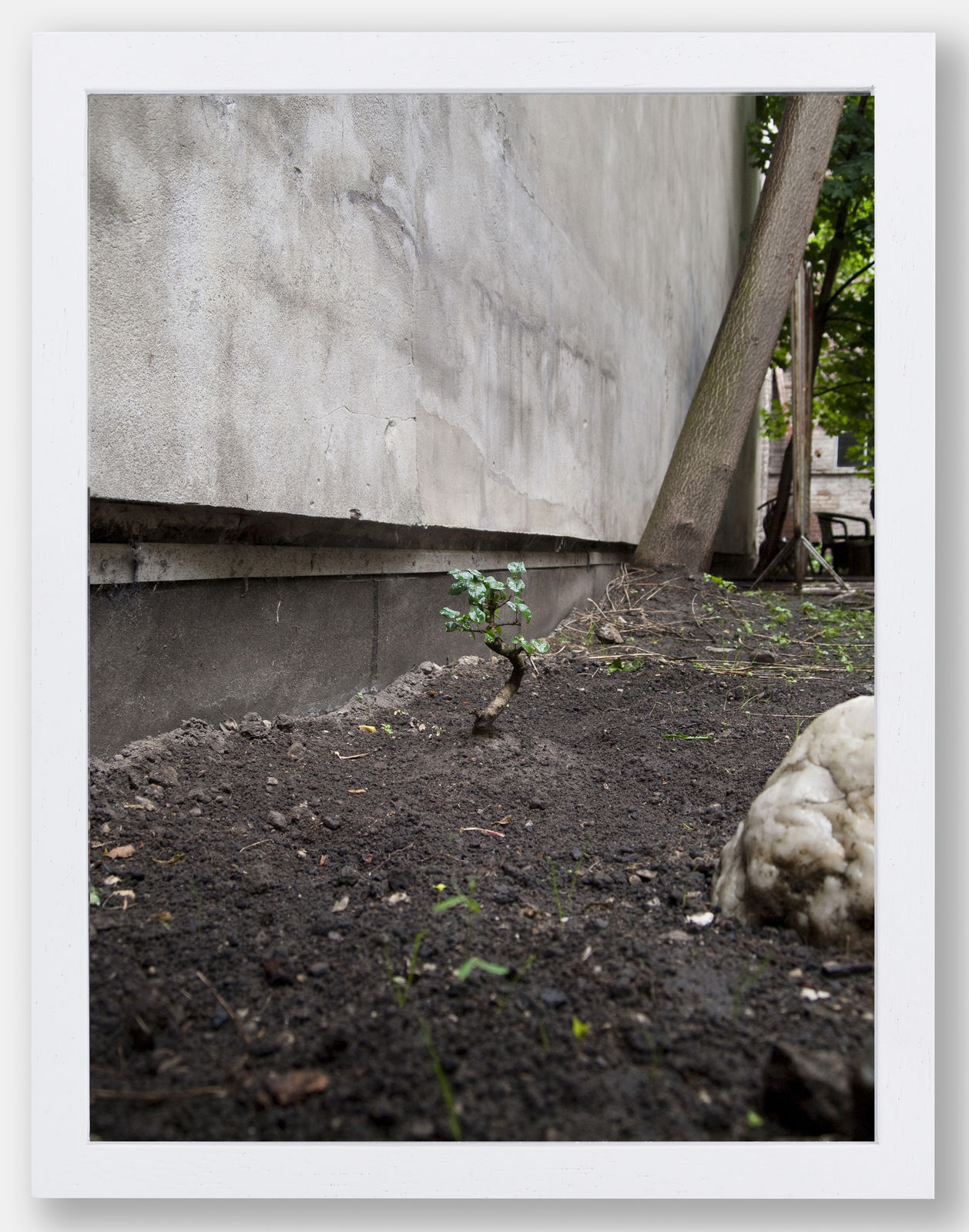 Alice Wang 王凝慧, Untitled 无题, 2013