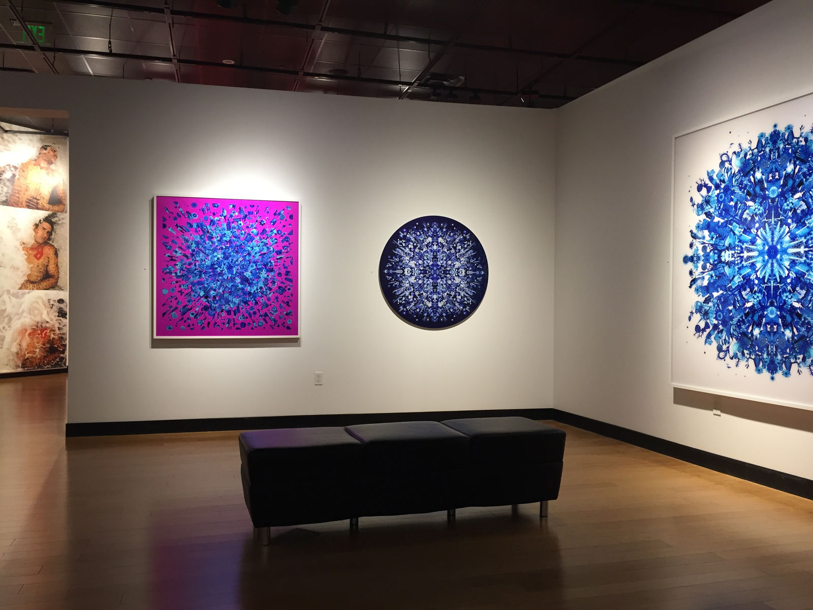 Carlos Betancourt, ( exhibit Southeast Museum of Photography, Florida, 2017) Re-collections VIII ( fuchsia), 2009